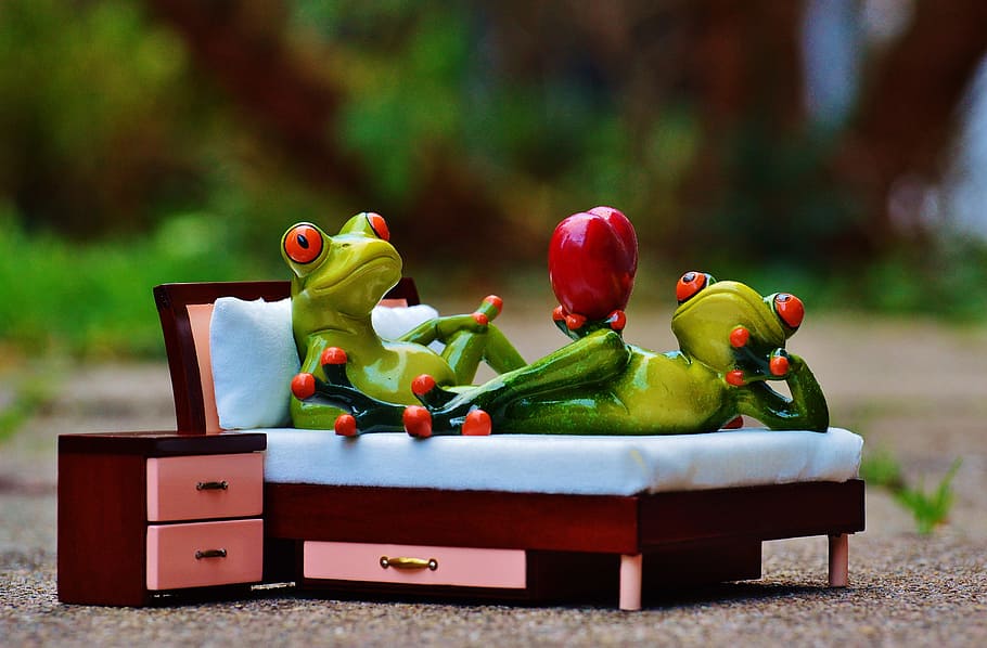 selective, focus photo, two, green, frog, ceramic, figurines, brown, wooden, bed