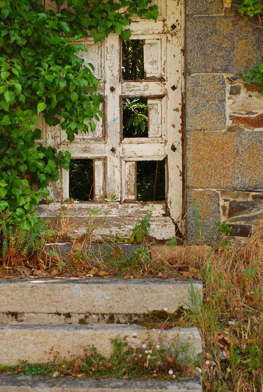 puerta vieja, francia, echar un vistazo, arquitectura, exterior del edificio, estructura construida, planta, edificio, nadie, día