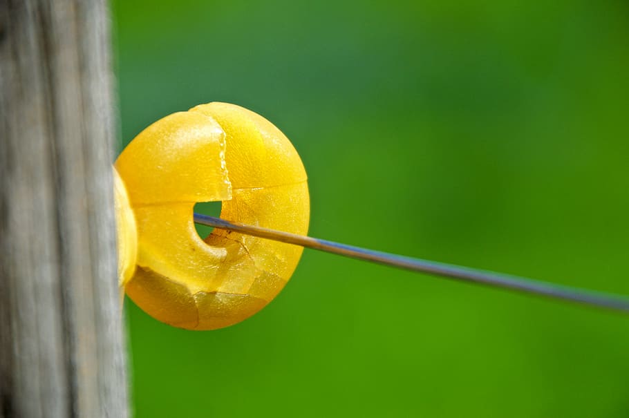 selective, focus photography, round, yellow, bead, string, insulator, fixing, pasture fence, eyelet