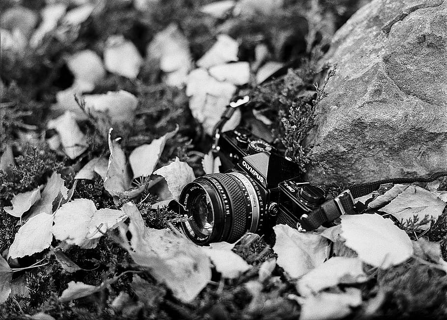 film camera, camera, vintage, film, photography, equipment, old, negative, black, design