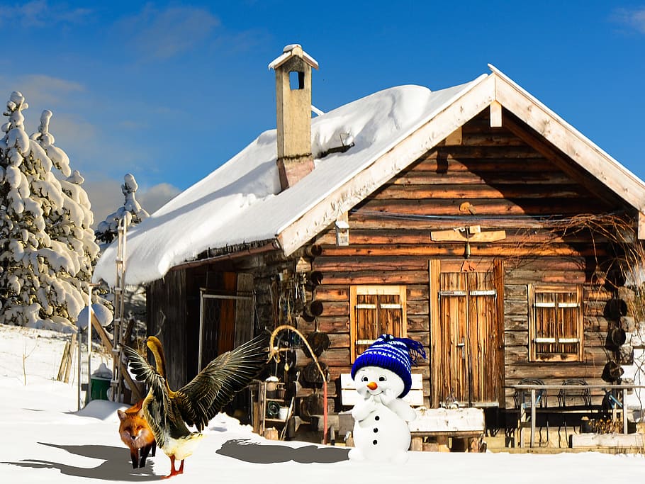 winter, time of year, hut, snow man, fuchs, goose, animals, wood, architecture, mountain hut