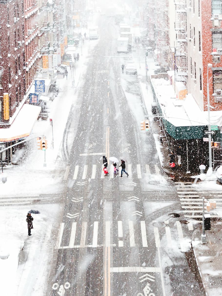 gente, para caminar, calle, invierno, nieve, urbano, peatonal, carril, señales, edificios