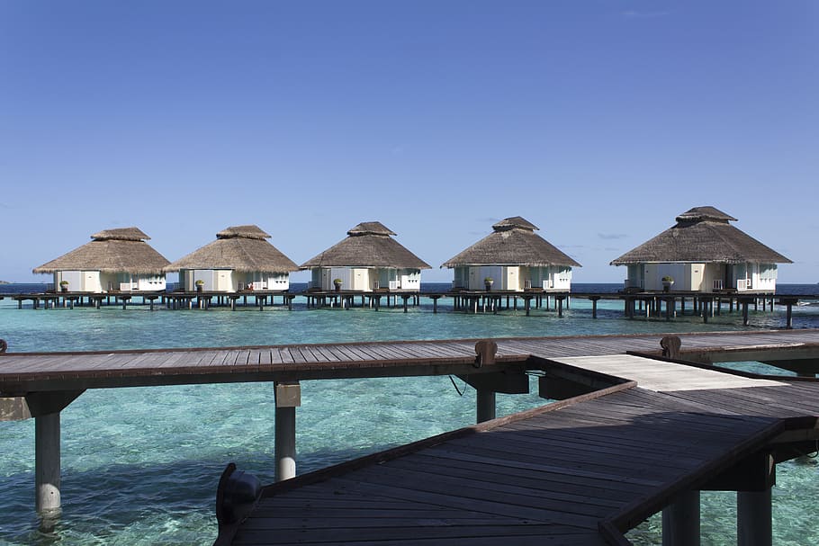 the maldives, overwater, bungalows, holiday, paradise, cabins, over the water, water, sea, landscape