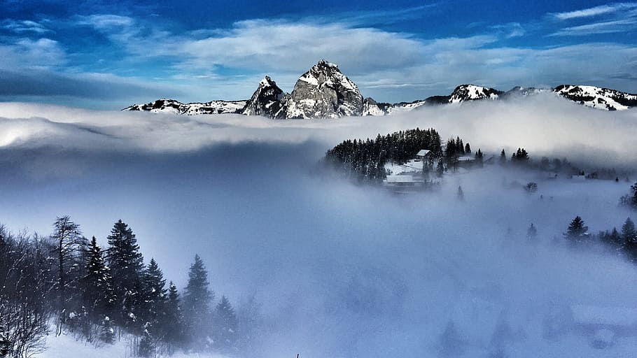 Paisaje de invierno bosque de niebla en las montañas clima frío y nevado