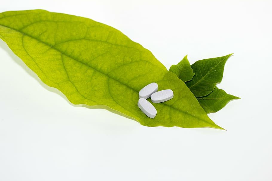 three, tablet, ovate leaf, leaf, pills, green, medicine, herbal, alternative, white
