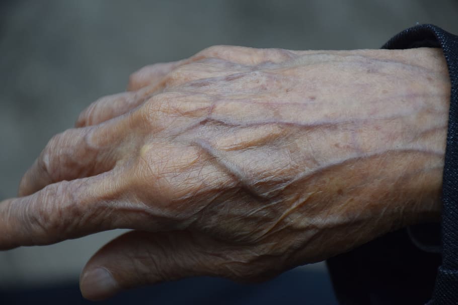 the aged, hand, meridian, human hand, human body part, body part, wrinkled, one person, senior adult, close-up