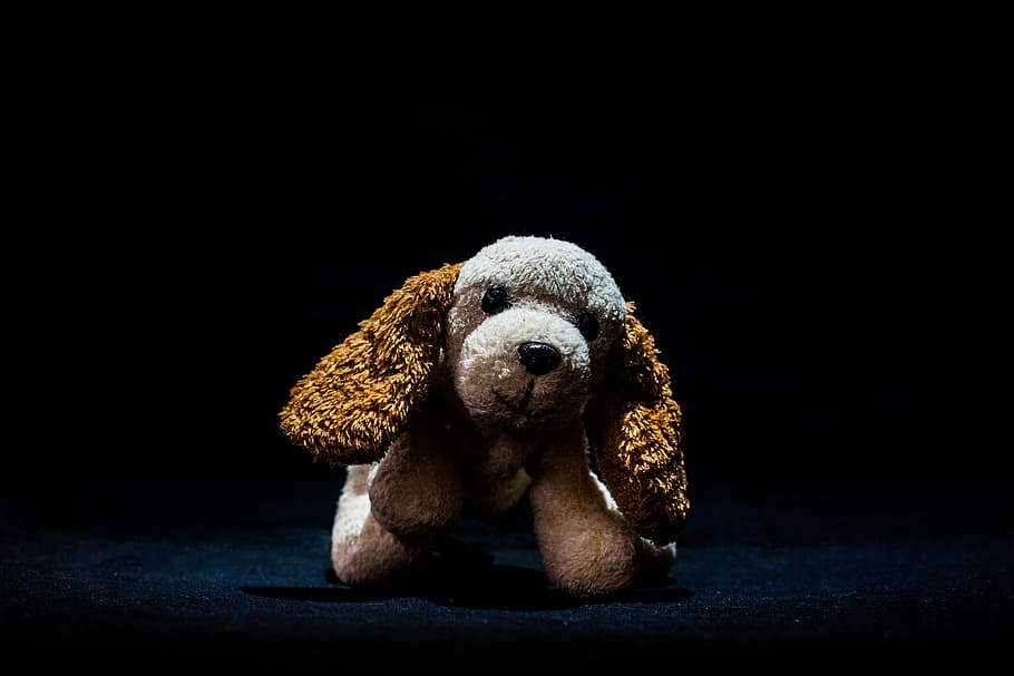 toy, teddy, cute, soft, brown, white, animal, childhood, fur, small