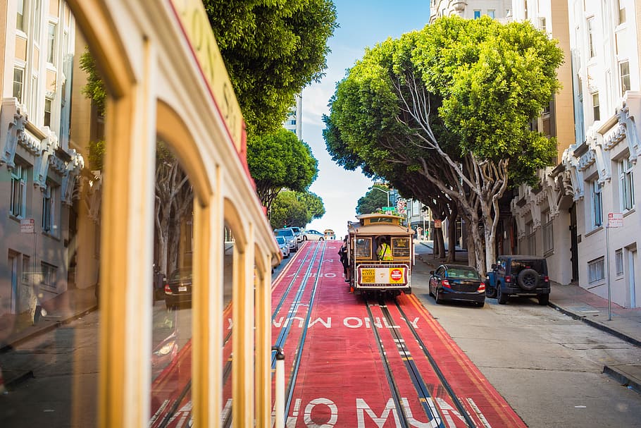 Dos, icónicos teleféricos de Muni, San Francisco, California, Iconic, MUNI, Teleféricos en San Francisco, automóviles, ciudad, iconos