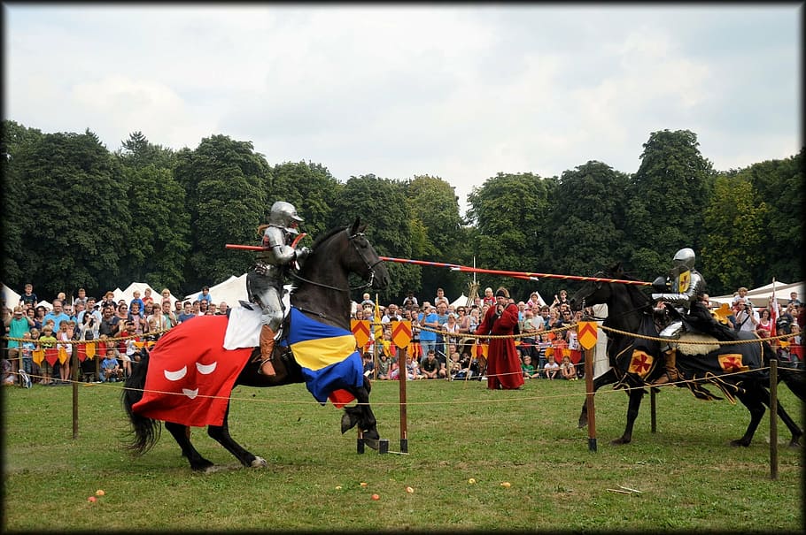 spectacular knight, knights, horses, lances, jousting tournament, medieval, fight, amsterdam, holland, plant