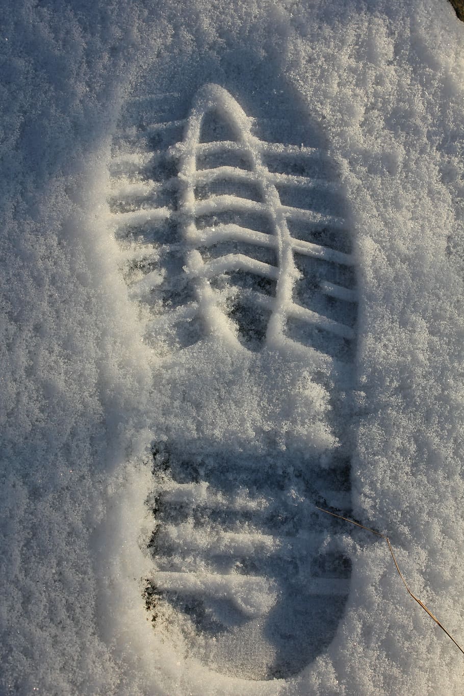 Track, Print, Snow, Tracks, Winter, Step, tapak tapak kaki, suhu dingin, natal, tidak ada orang