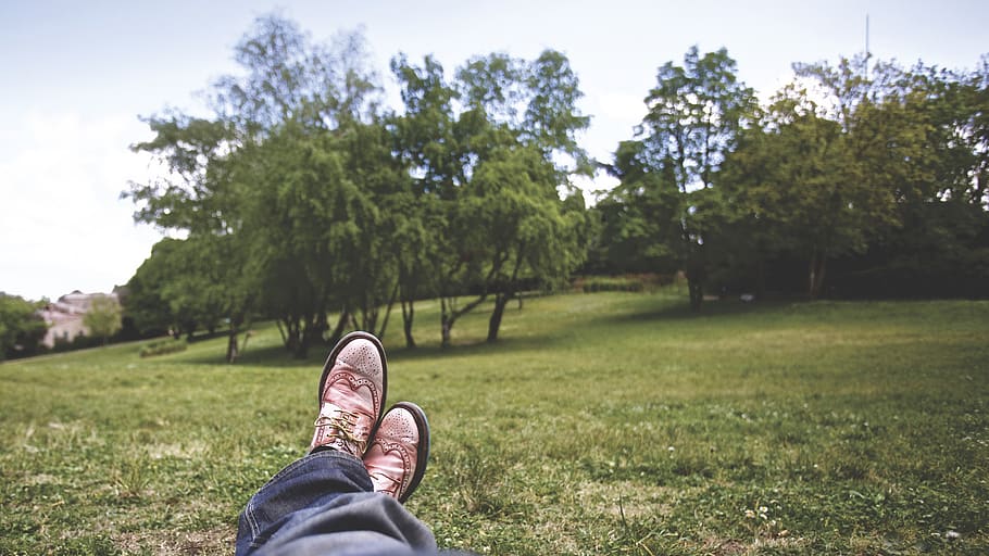 guy, man, male, people, feet, legs, shoes, oxfords, pants, nature