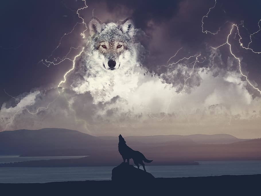 wolf, clouds, cliff, thunder, silhouette, landscape, sky, beach, nature, water