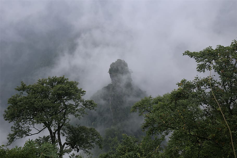 zhangjiajie, tianmen mountain, tourism, tree, plant, cloud - sky, sky, beauty in nature, nature, growth