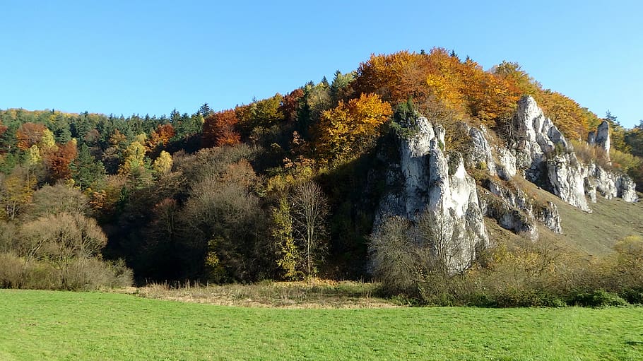 the founding fathers, poland, landscape, the national park, autumn, rocks, nature, the widow of rock, plant, tree