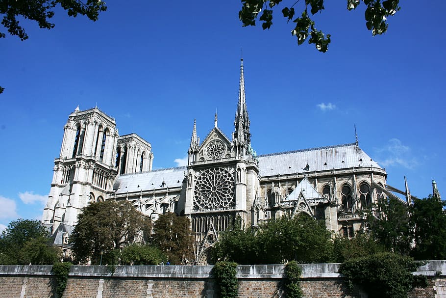 Notre Dame, catedral, París, arquitectura, iglesia, lugar famoso, Europa, estilo gótico, árbol, planta