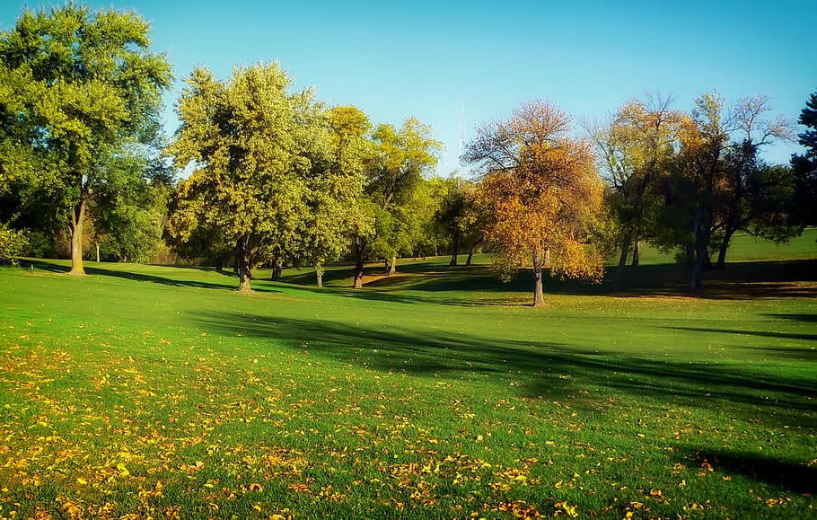 芝生のフィールド 緑 葉 木 心を落ち着かせる 空 オマハ ネブラスカ ゴルフコース スポーツ Pxfuel