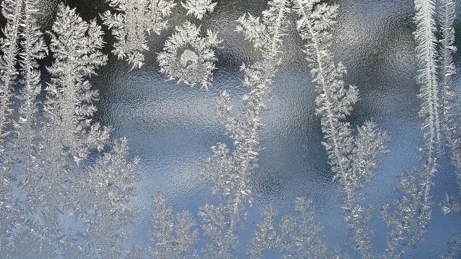 closeup, gray, leaf glass decor, Hardest, Ice, Winter, Cold, eiskristalle, frozen, frost