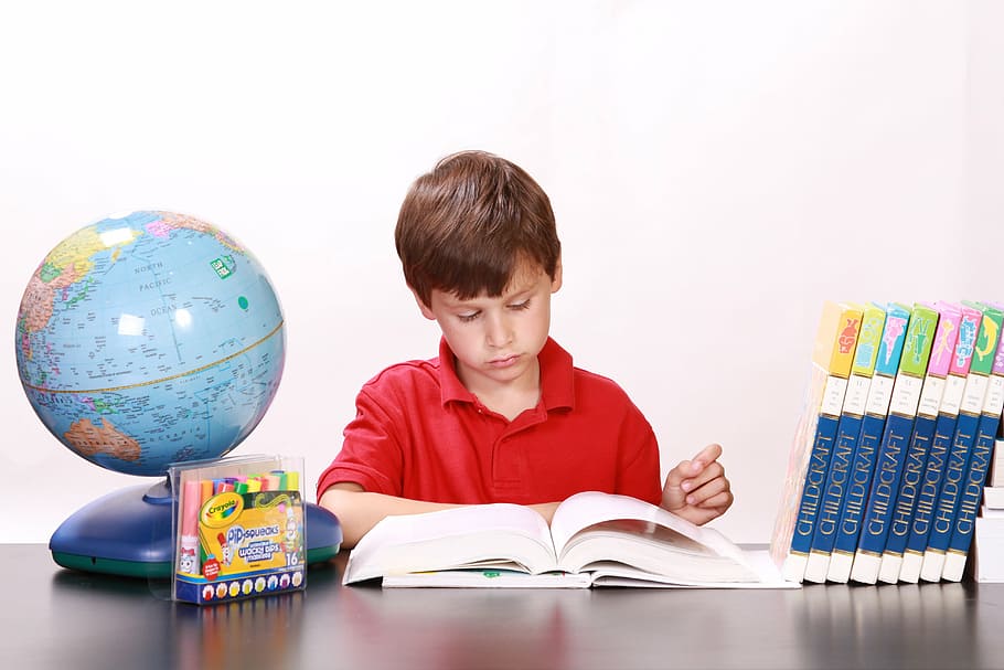 boy, wearing, red, polo shirt reading, book, reading, studying, books,  children, young | Pxfuel