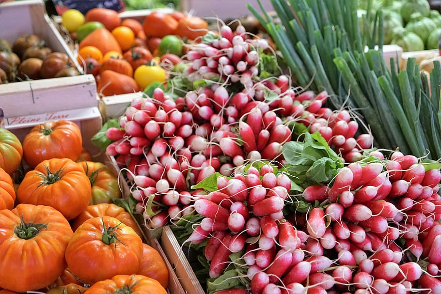 squash lot, radishes, fruit, vegetables, eat, food, market, sale, service, delicious