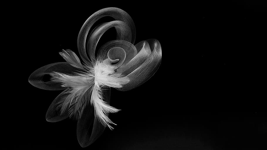 untitled, Headband, Flower, Black And White, beauty, foreground, wings, geometry, grey, float
