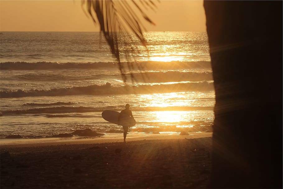 pôr do sol, praia, areia, surfista, prancha de surf, ondas, água, oceano, mar, beleza da natureza