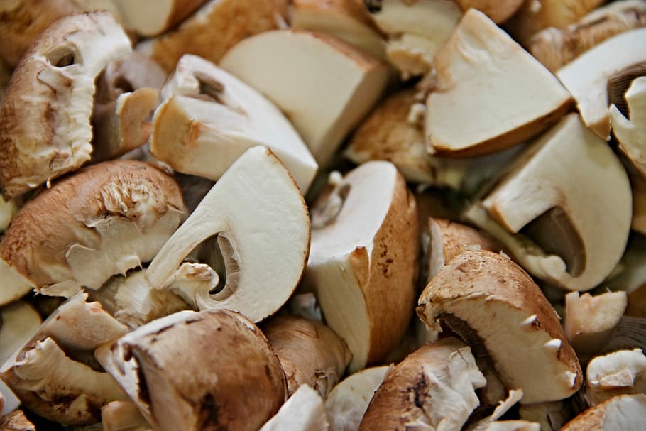 lote de sementes de jaca, cogumelos, corte, peças, marrom, cogumelos cultivados, ingrediente, frigideira de cogumelo, comida, comestível