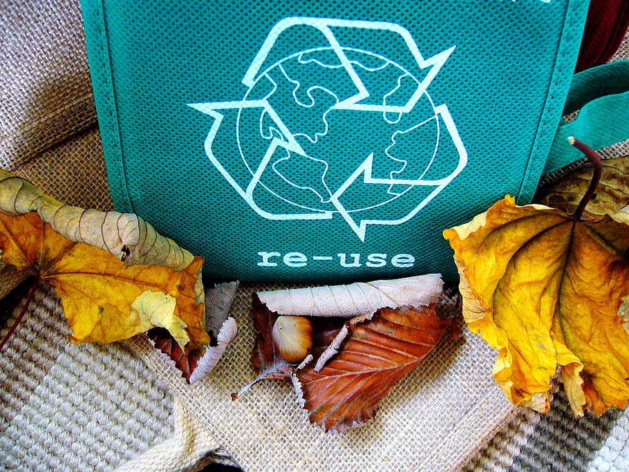 green fabric bag, recycle, reuse, recycling, recyclable, symbol, reused, logo, leaf, plant part
