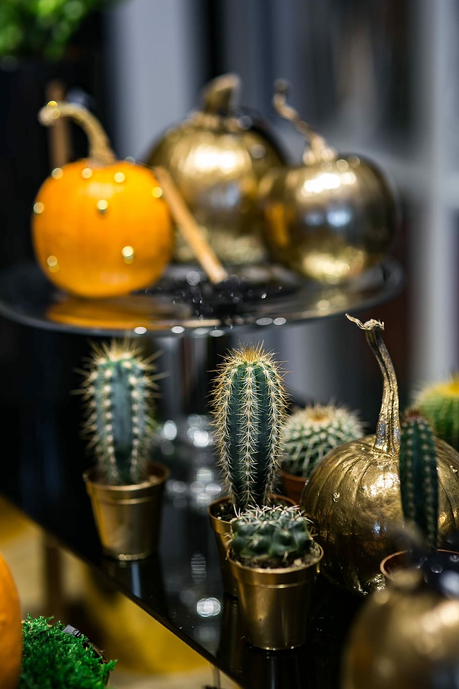 ornamentales, calabazas, cactus, oro, adornos, decoración, culturas, alimentos, color dorado, día