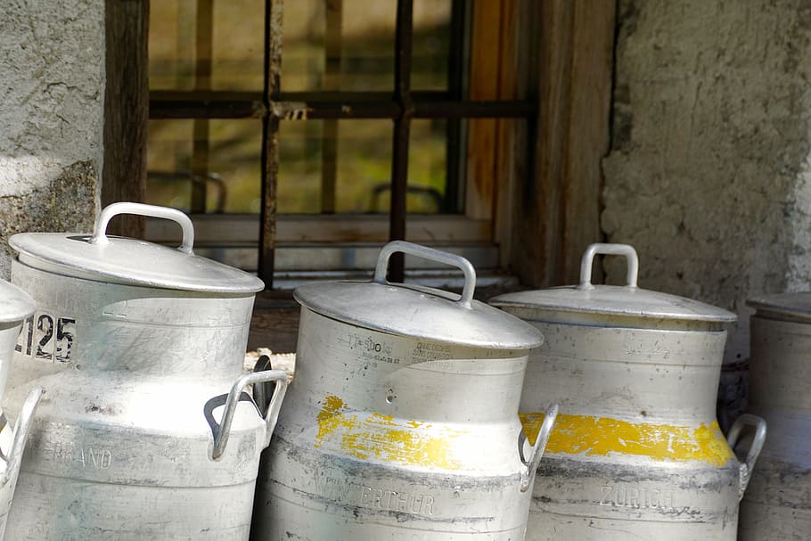 three, gray, milk, churns, window, milk container, cow, milk production, agriculture, nature