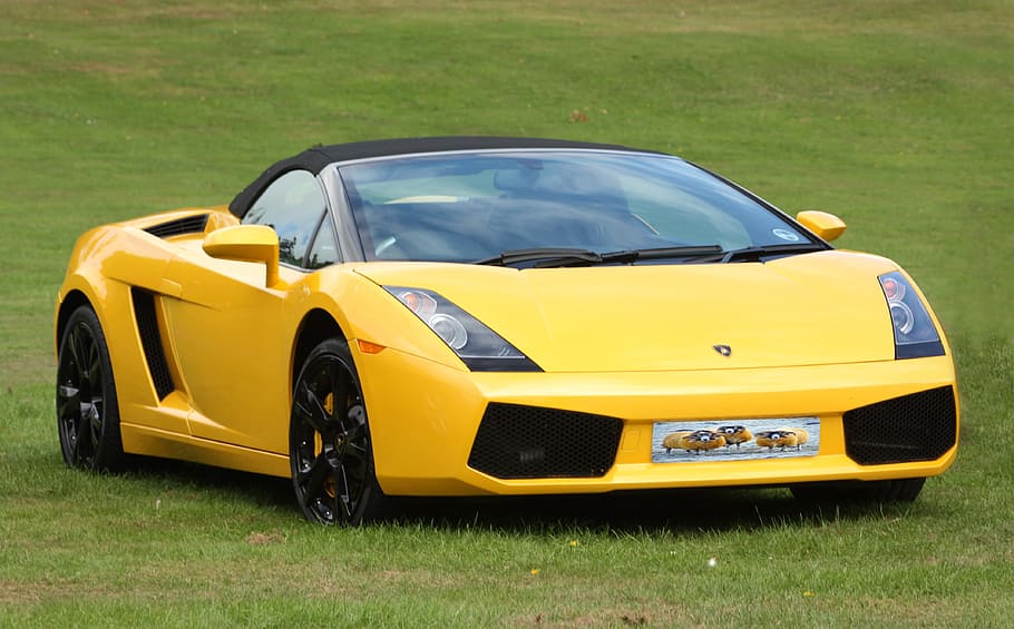 yellow, black, sports car, green, grass, green grass, sportscar, car, sports, racing car