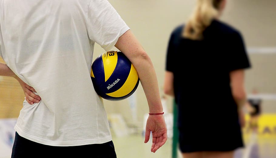 volleyball, sport, ball, volley, ball sports, team sport, competition, training, player, train