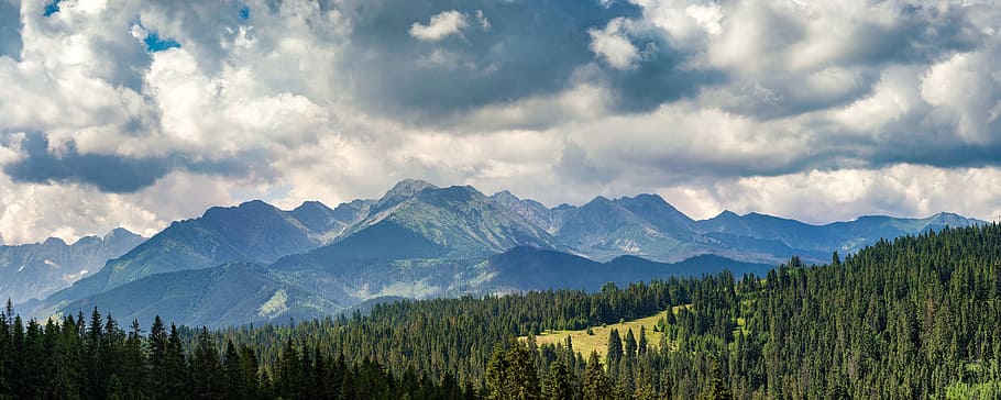 green, pine trees field, gray, mountain, white, cloudy, sky, mountains, nature, tatra