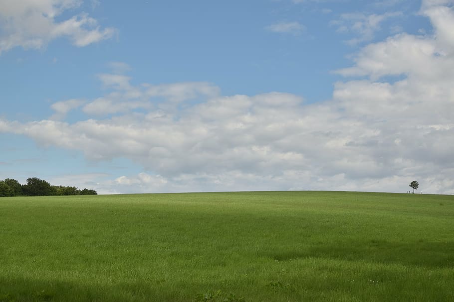 campo de hierba, durante el día, paisaje, prado, cielo, nubes, fondo, escritorio, bosque, idílico