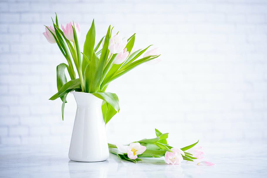 putih, vas, warna merah muda, bunga tulip, bunga, daun bunga, berkembang, taman, tanaman, alam