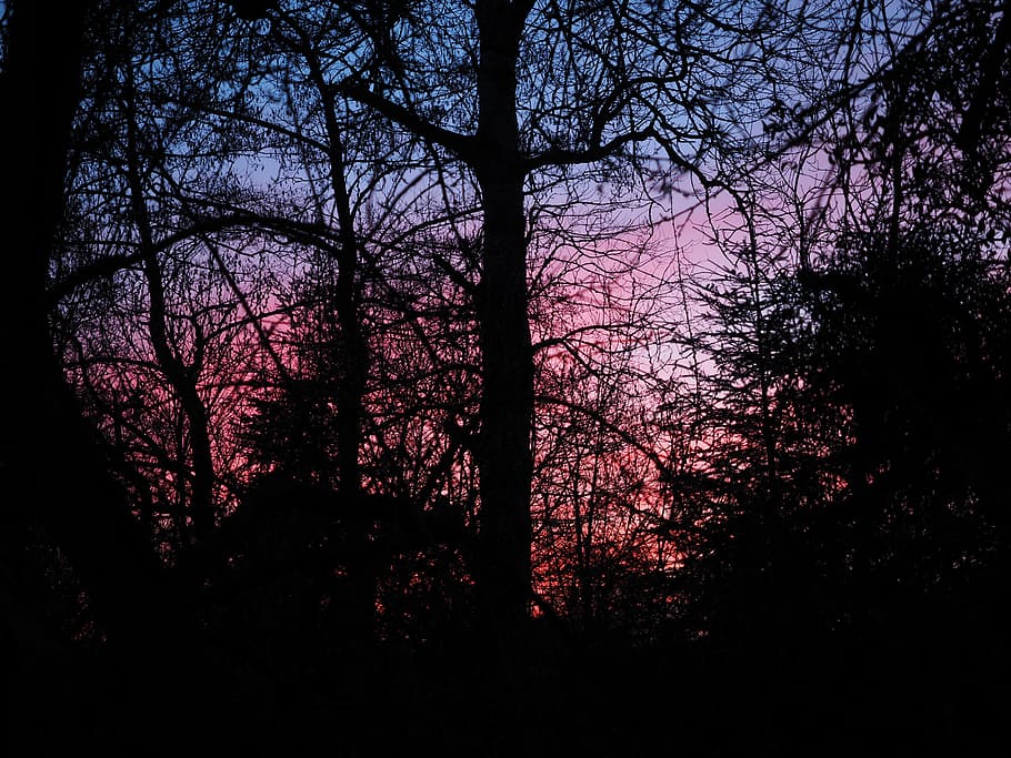 afterglow, evening, abendstimmung, sunset, evening sky, sky, red, reddish, purple, pink