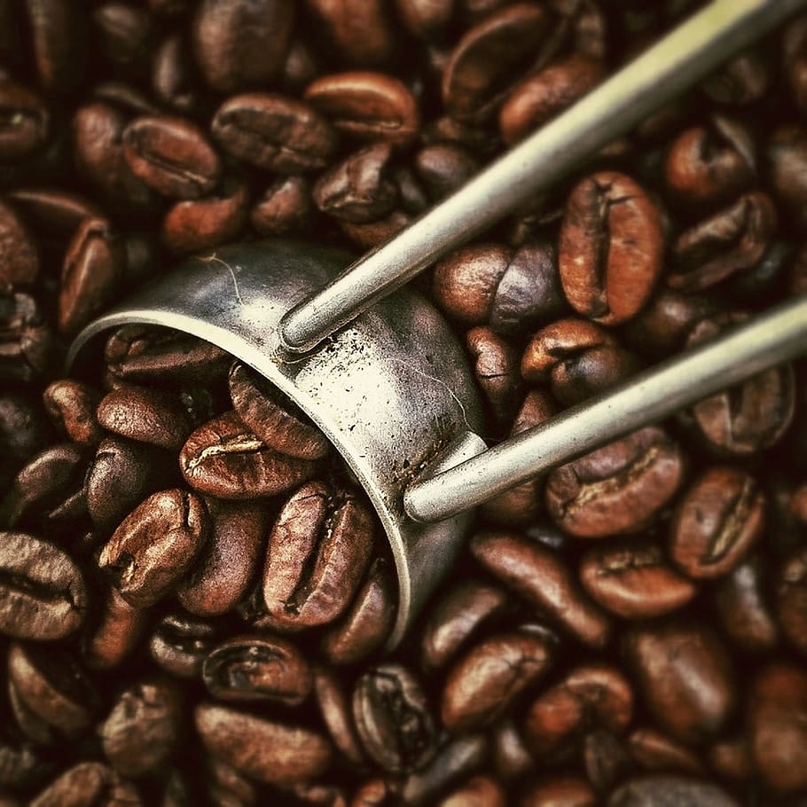 grãos de café marrons, café, feijão, bebidas, torrefação, moedor, fechar, cafeína, marrom, close-up