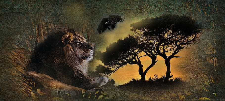 singa, di samping, lukisan pohon, alam, leo, seni, alam hidup, hewan, perjalanan, afrika