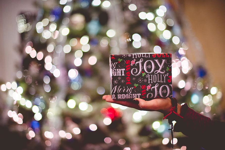bokeh photography, person, holding, gift box, christmas, decoration, lights, tree, gift, holiday