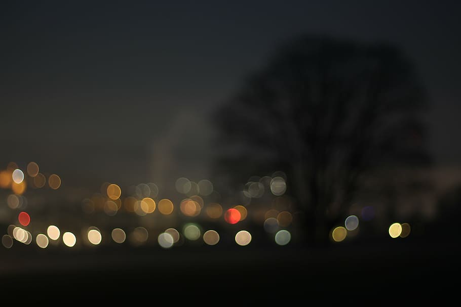 untitled, bokeh, tree, night, city, out of focus, dark, aesthetic, nature, peaceful