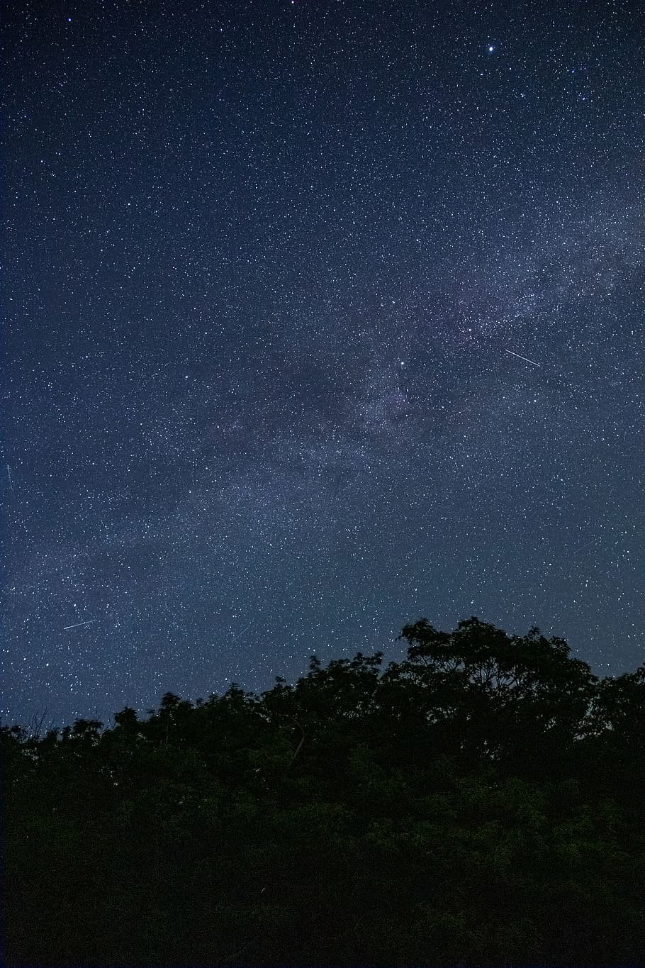 árbol, noche, estrellado, cielo, galaxia, espacio, árboles, silueta, naturaleza, astronomía