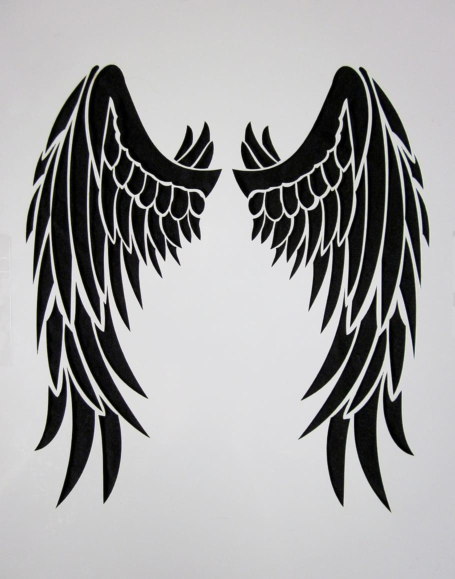 black, angel wing painting, wing, feather, bird, black wings, black engel, butterfly, black and white, angel