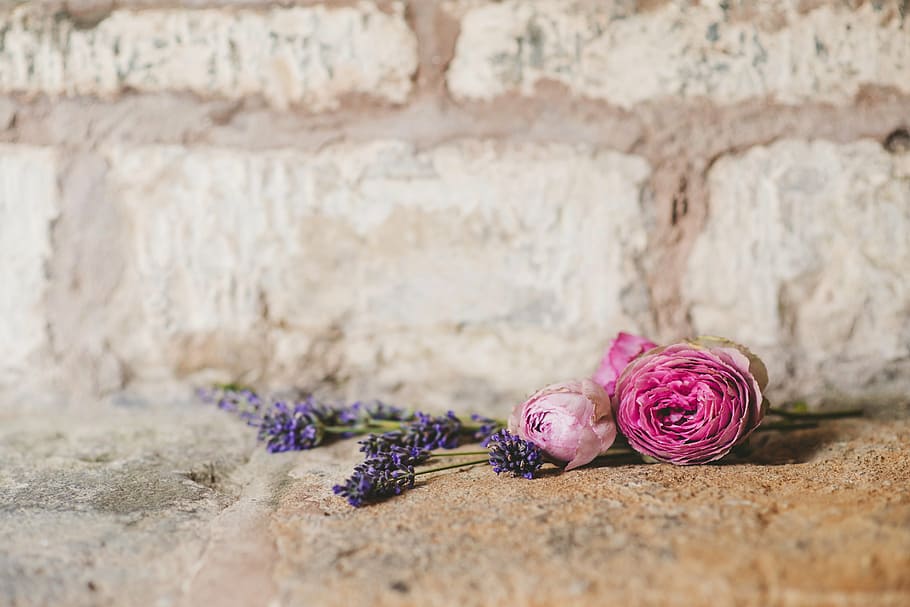 lilacs, pink, roses, placed, red, bricked shelf, wedding, flowers, bouquet, wall