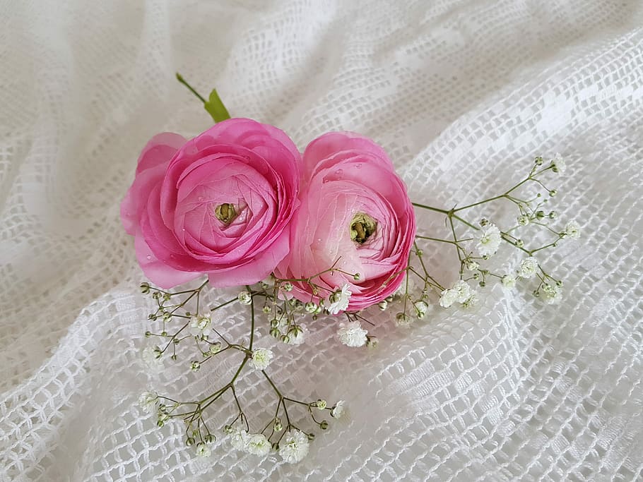 two, pink, white, petaled flowers, textile, two ranunculus, gypsophila, tender, flower, wedding
