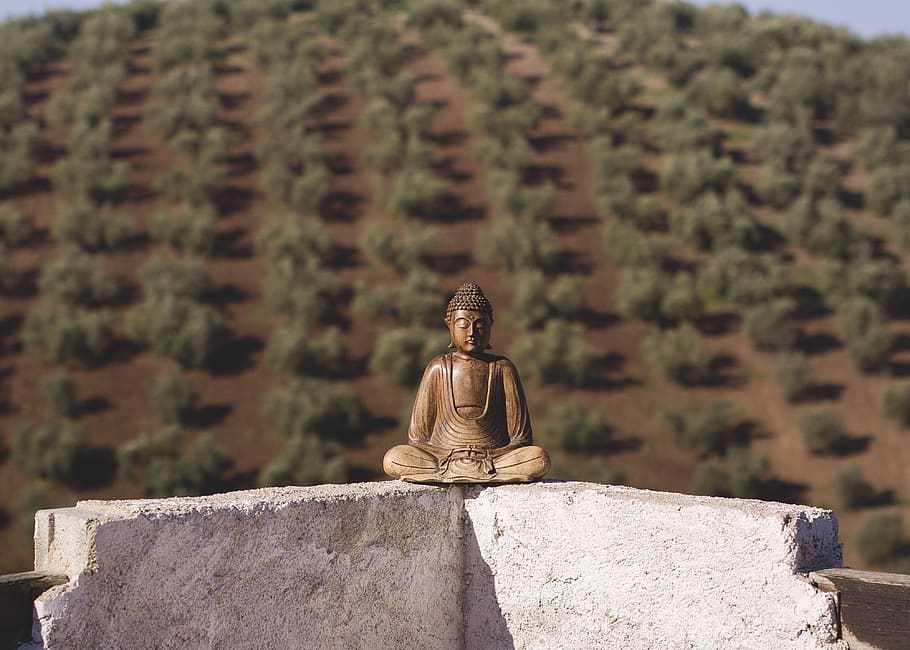 positive, thinking, zen, budda, relax, relaxing, peace, religion, spirituality, architecture