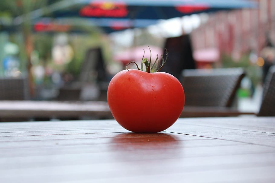 tomato, tomatoes, red, food, vegetables, delicious, solanum lycopersicum, ripe, salad, eat