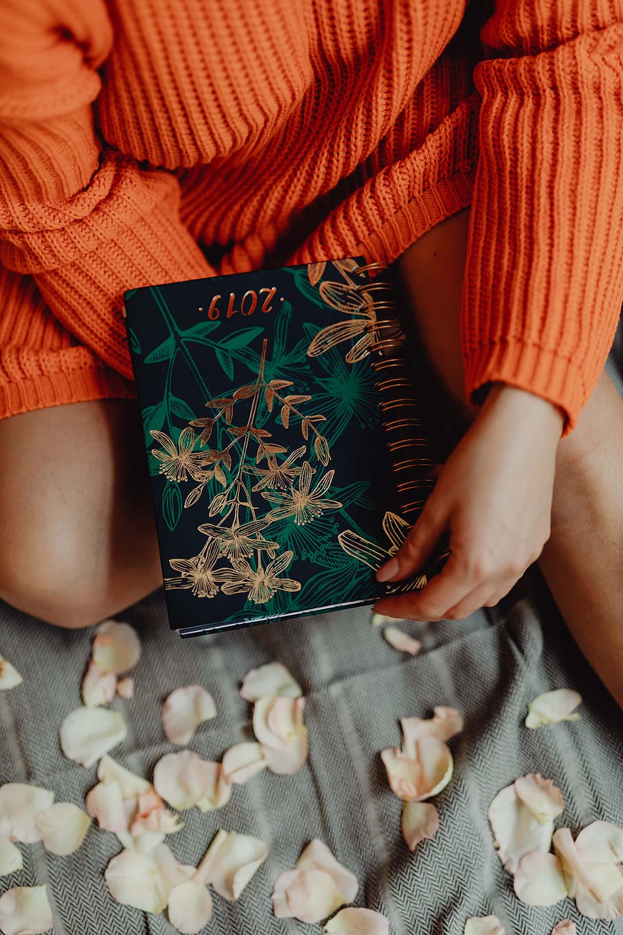 calendário, caderno, mulher, 2019, laranja, organizador, suéter, agarra, mãos, pessoas reais
