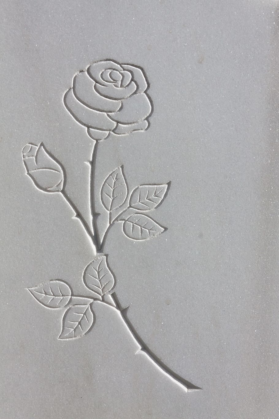closeup, photography, rose, flower, carved, panel, white Rose, illustration, thorns, rock carving