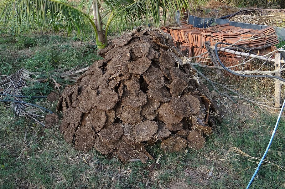pile, compost material, green, grass, daytime, Cow Dung, Fuel, Cow Pats, Cow Manure, dried