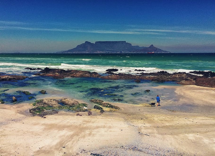 Table Mountain, Cape Town, South Africa, beach, dog, atlantic ocean, woman, africa, sea, ocean