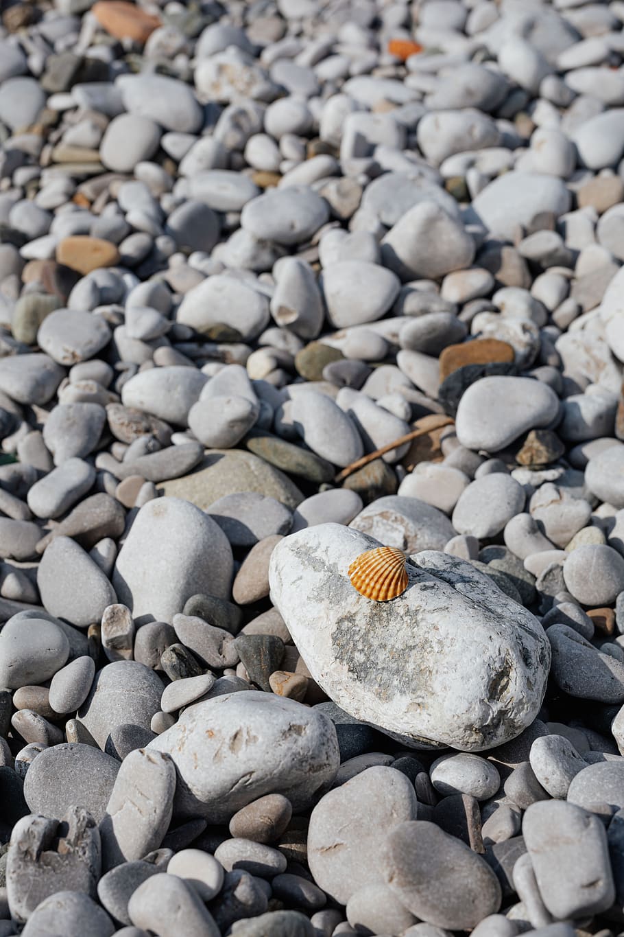 fondo, agua, playa, borrosa, olas, arena, mar y fondos, piedra, objeto de piedra, roca